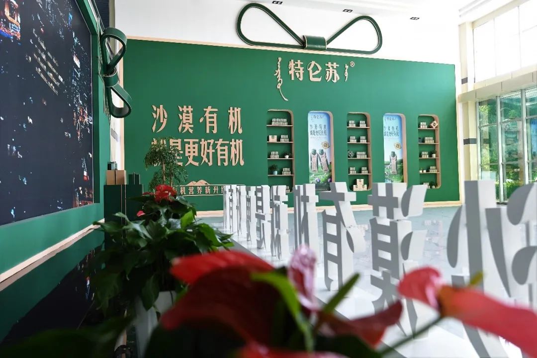 在沙漠里“种牛奶”,真的很“奶思”!