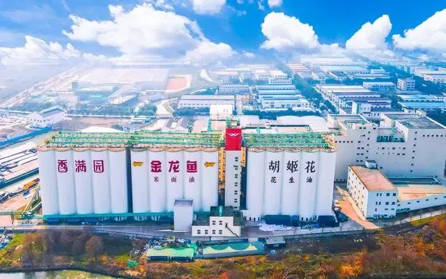 养鸡孵蛋!2500亿金龙鱼,未来有多大想象空间?