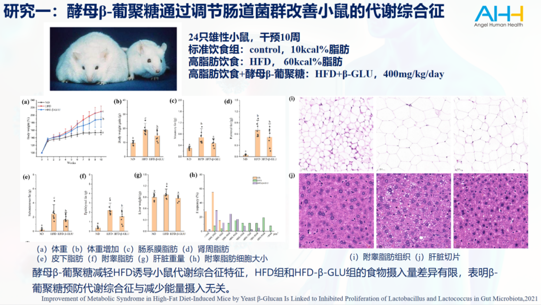 酵母β-葡聚糖还将为健康行业带来哪些新机遇？