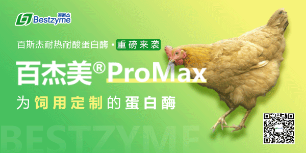行业景气度提升！益生股份2023年上半年净利预计5.6亿元-5.8亿元，已售种鸡3.28亿只