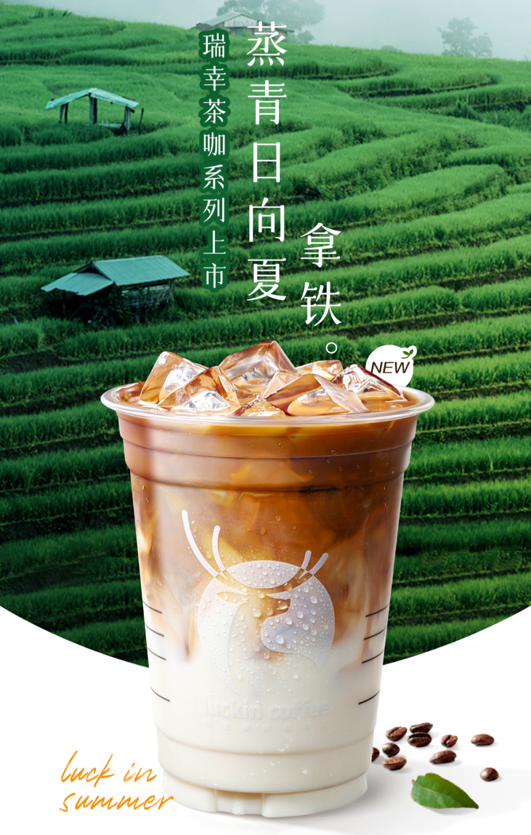 三得利、蒙牛、瑞幸、元气森林……饮料行业新品上市