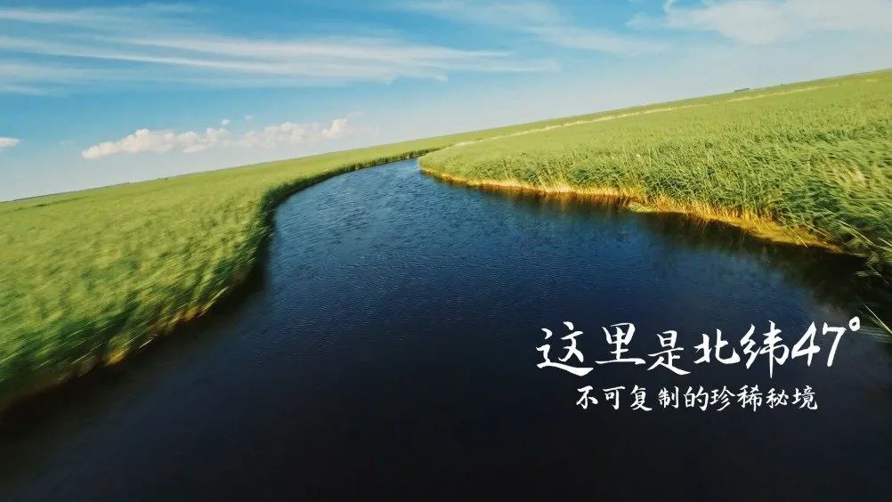 农夫山泉、伊利、好望水是如何讲好溯源故事的？