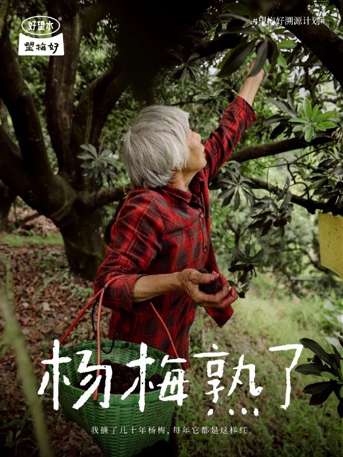 农夫山泉、伊利、好望水是如何讲好溯源故事的？
