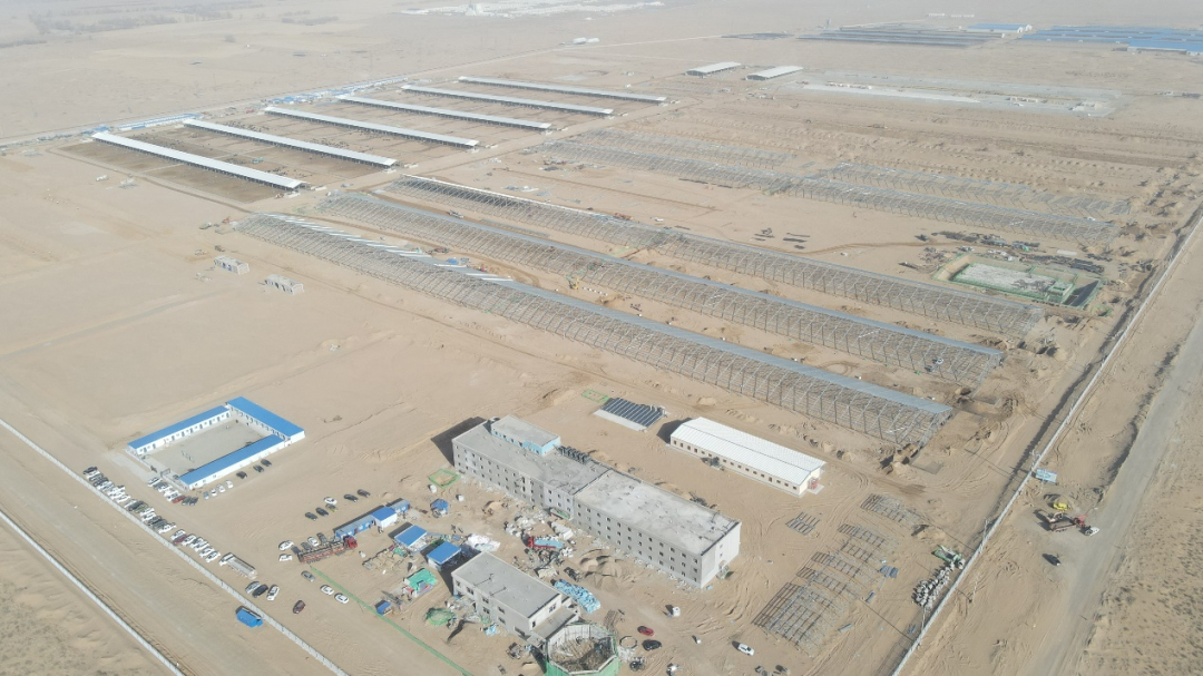 现代牧业：以“新突破、新名片、新模式”点亮中国奶业高质量发展新赛道