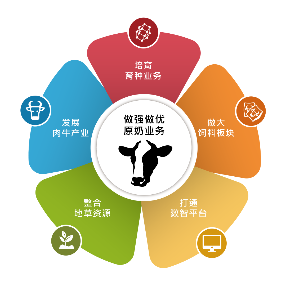 现代牧业：以“新突破、新名片、新模式”点亮中国奶业高质量发展新赛道