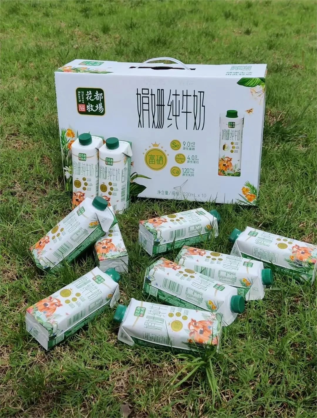 新品速递：伊利、蒙牛、光明、皇氏、花花牛、中垦牧、天友、朴诚、来思尔……