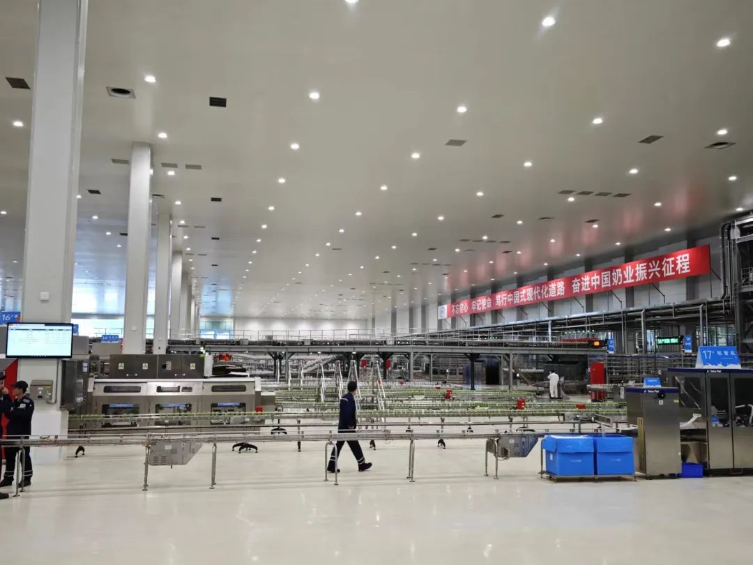 在消费品下行周期,伊利为什么能实现逆势增长?