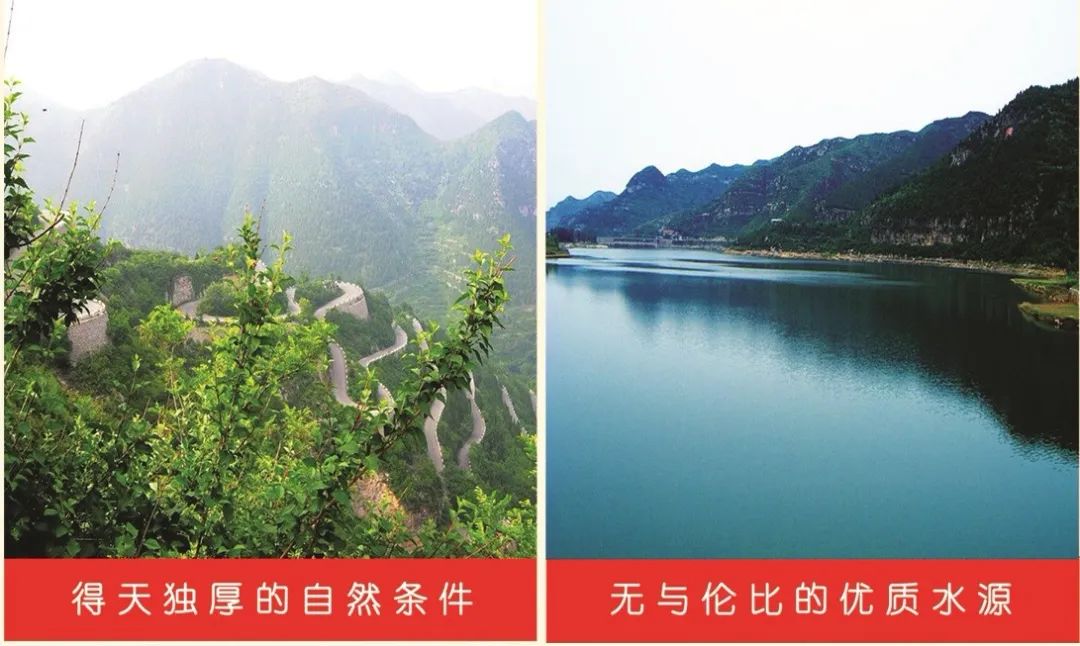 中国名酱时代,云门为鲁酒振兴再添新柴