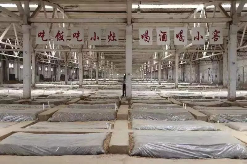 战略增长新样本，泰山酒劲吹“出口风”！