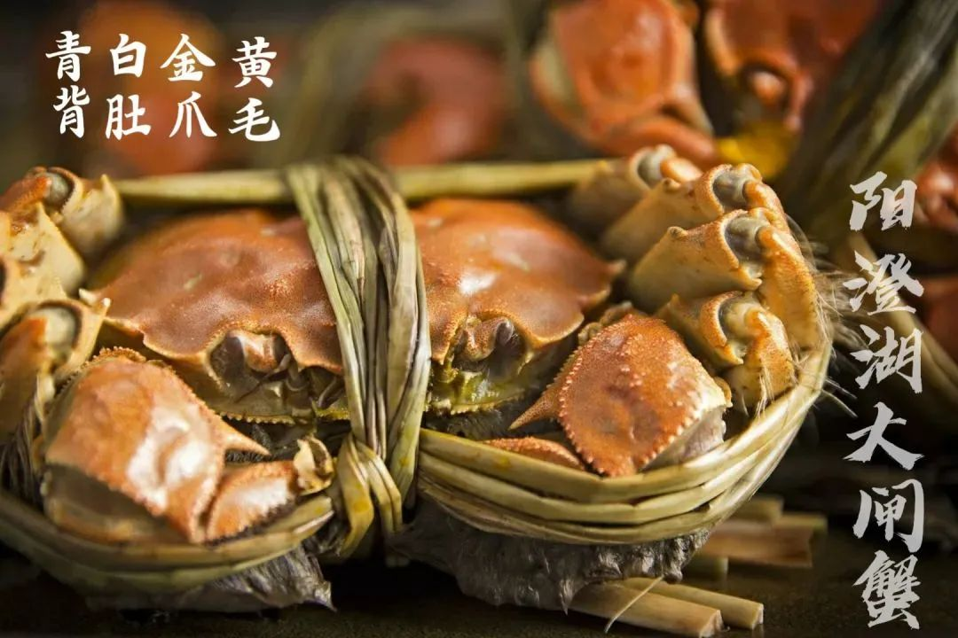 中秋节将至,酒礼融合再现新机遇