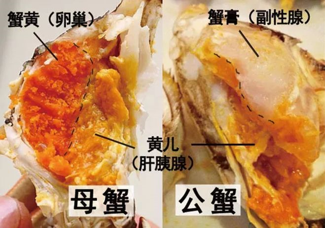 中秋节将至,酒礼融合再现新机遇