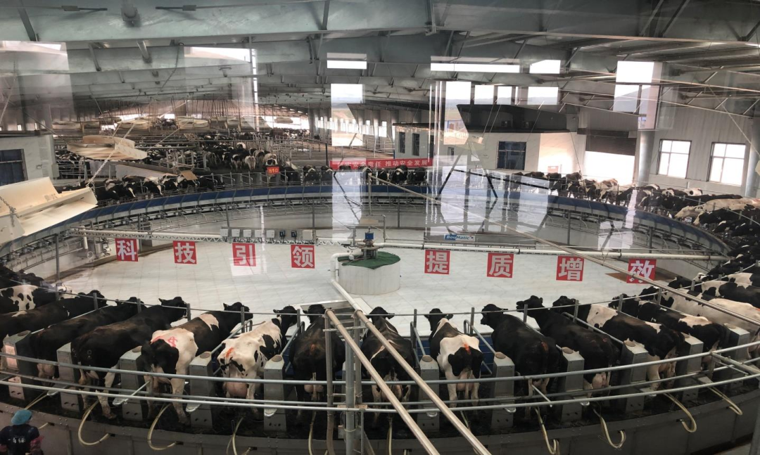 谁的净利润增长了131.22%?优然牧业、三元、澳优、赛科星、骑士、骏华农牧、达诺、沃野牧丰公布上半年业绩!