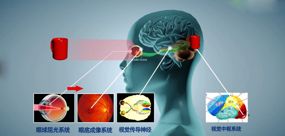 新环境下,酒业该如何塑造超级品牌?