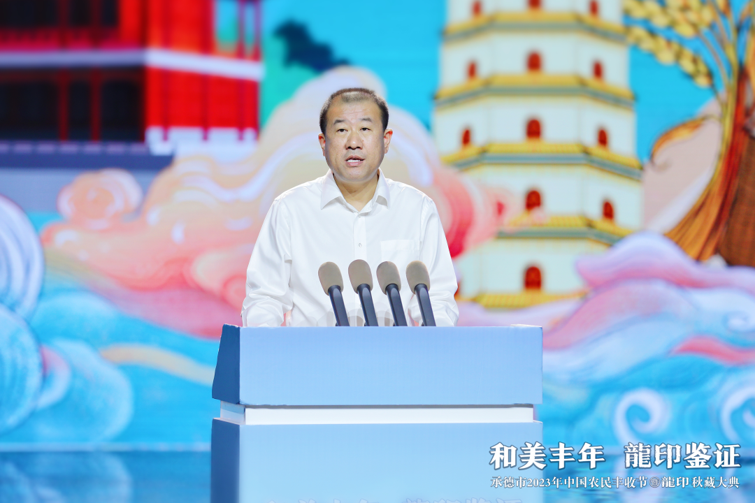板城文化赋能秋藏IP新高度:和美丰年,龍印鉴证!