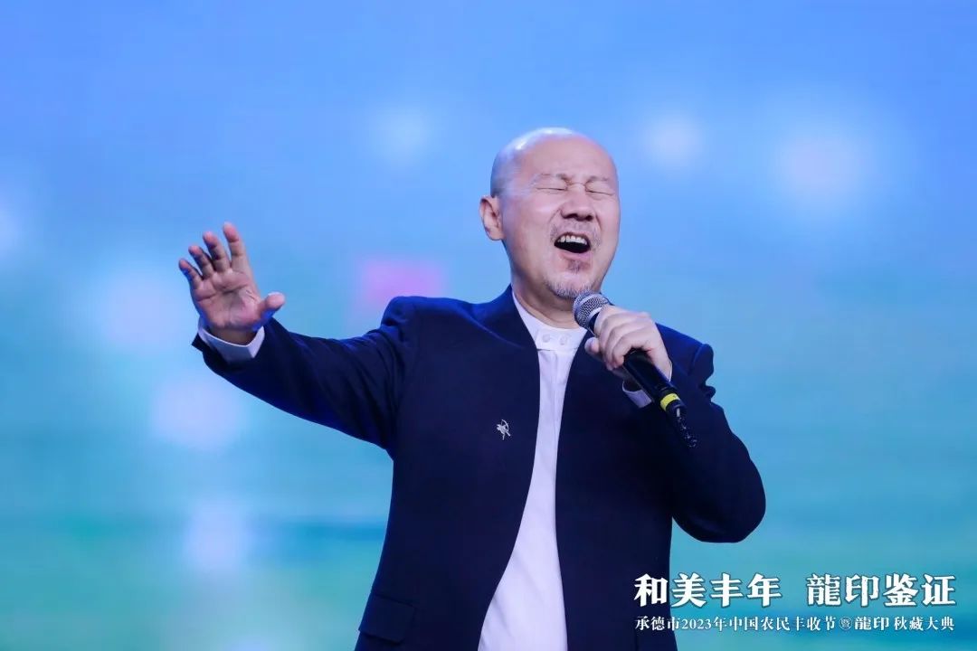 板城文化赋能秋藏IP新高度:和美丰年,龍印鉴证!