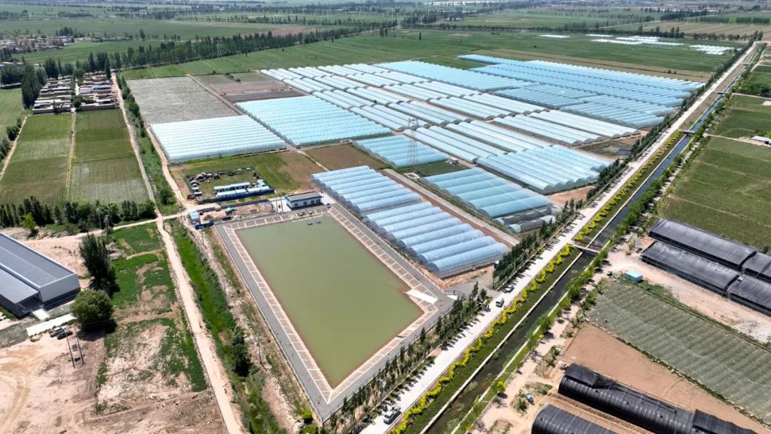 宁夏吴忠推动奶业高质量发展行稳致远
