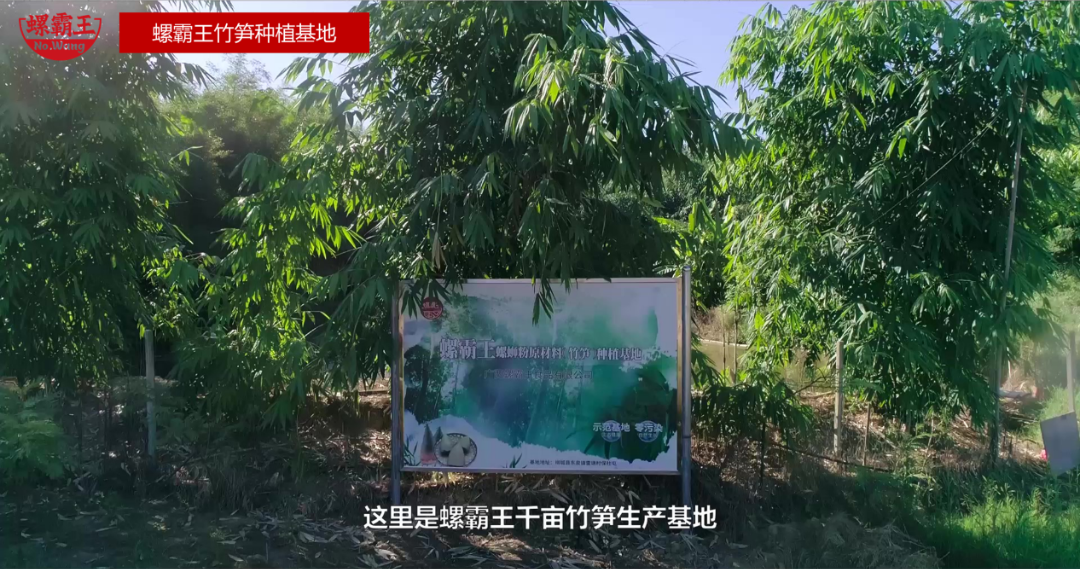 从销量领先到创世界纪录，螺霸王为国货出圈打样