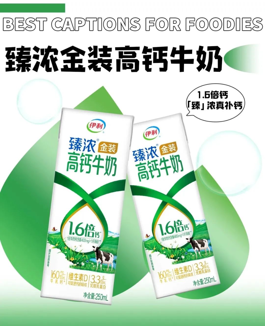斩获“IDF乳品创新奖”,闪耀世界乳业峰会,伊利液态奶创新有何奥秘?