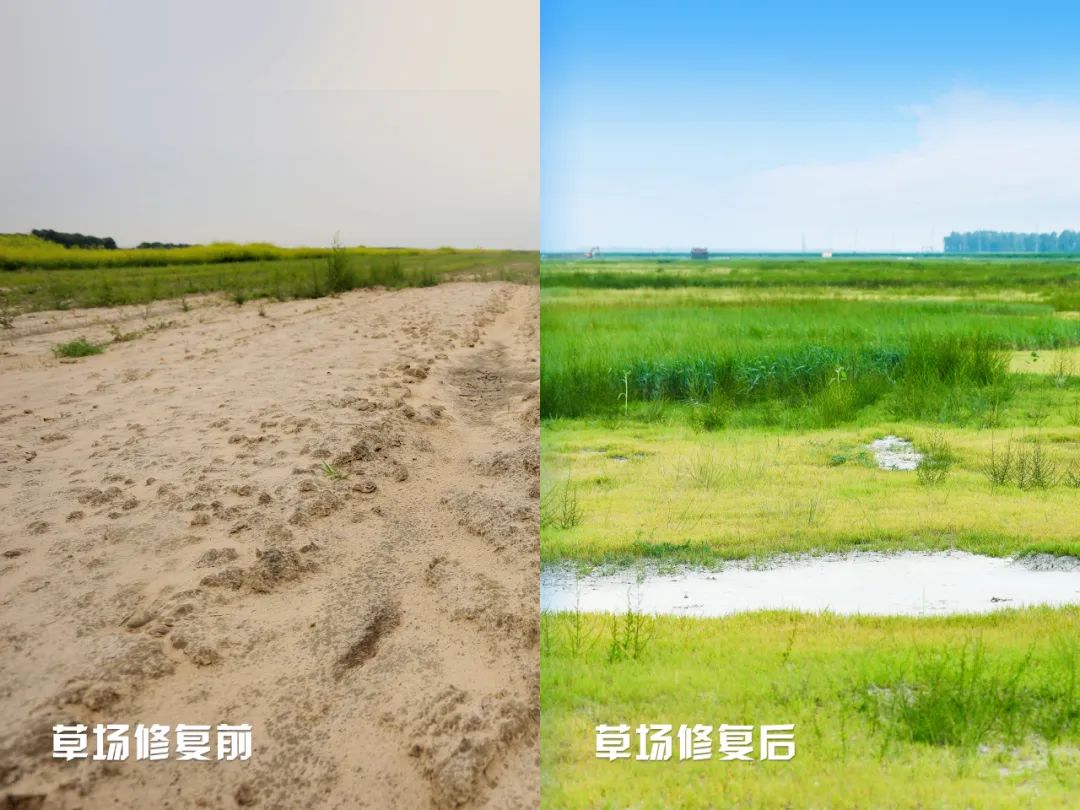 最近，伊利潘刚有点忙！