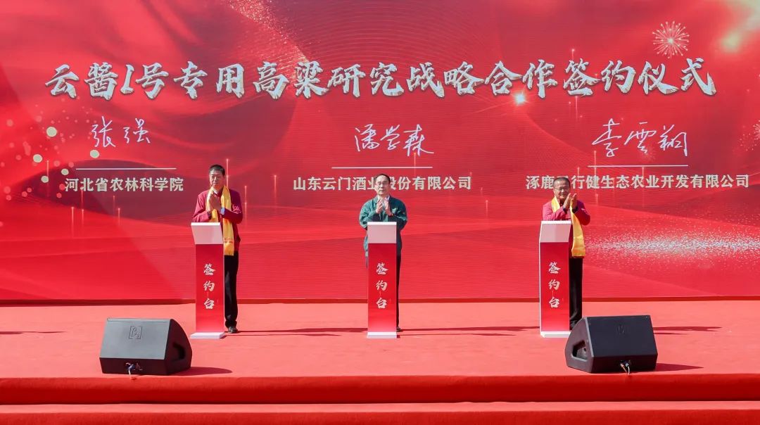 行至11届规模再进阶,云门酒业打造酱酒文化节IP新高度