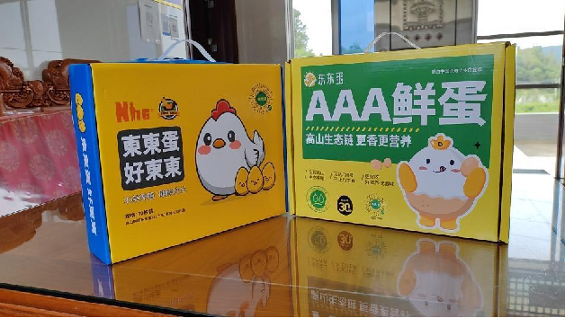 陈亮嘴：用知识概念策划品牌特色 | 开讲了直播