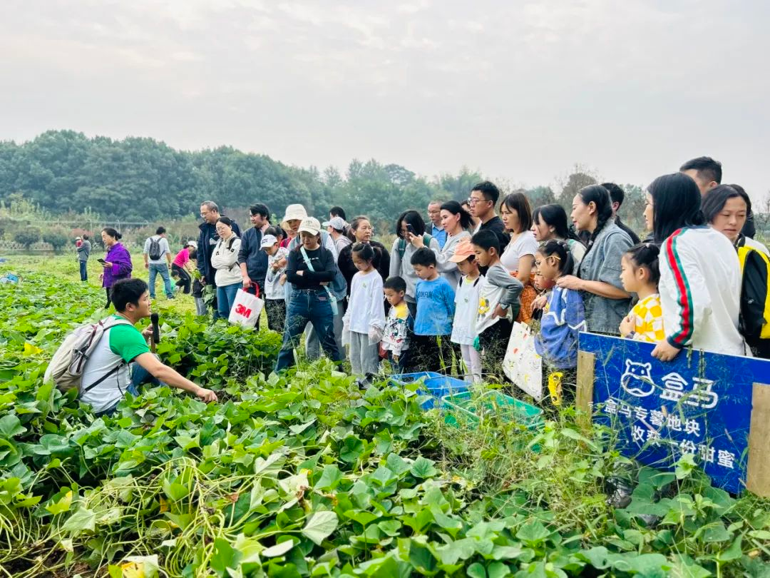 种了59年蘑菇，这家企业年入40亿