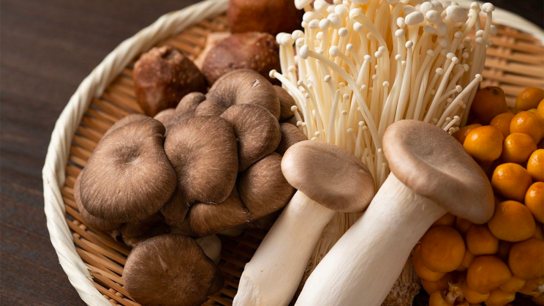 种了59年蘑菇，这家企业年入40亿