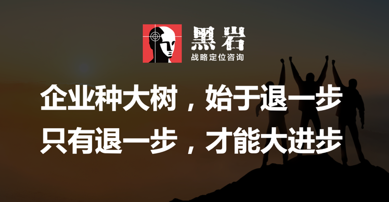 深度揭秘：黑岩助力盐津“大魔王”品类创新，三年百亿第一枪