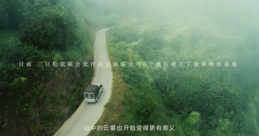 休闲零食行业PK质价比，三只松鼠“高端性价比”胜算几成？