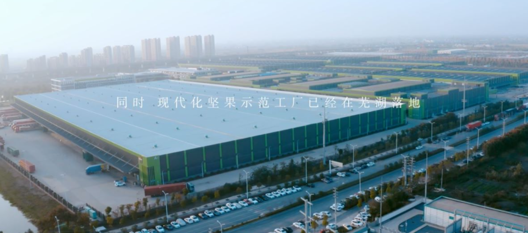 休闲零食行业PK质价比，三只松鼠“高端性价比”胜算几成？