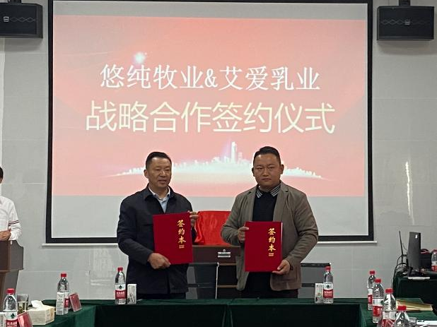 悠纯乳业携手腾冲艾爱乳业打造最大高原水牛牧场