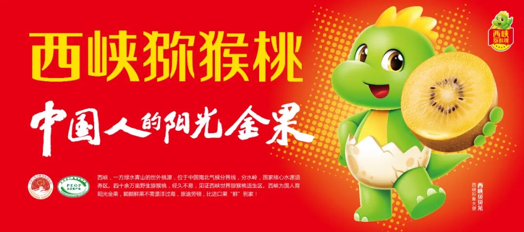 娄向鹏:品牌强盛是产业兴旺的抓手