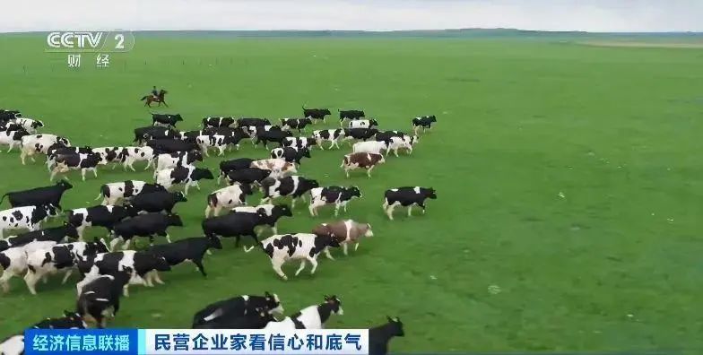 潘刚:在这件事上,伊利下的是“笨功夫”!