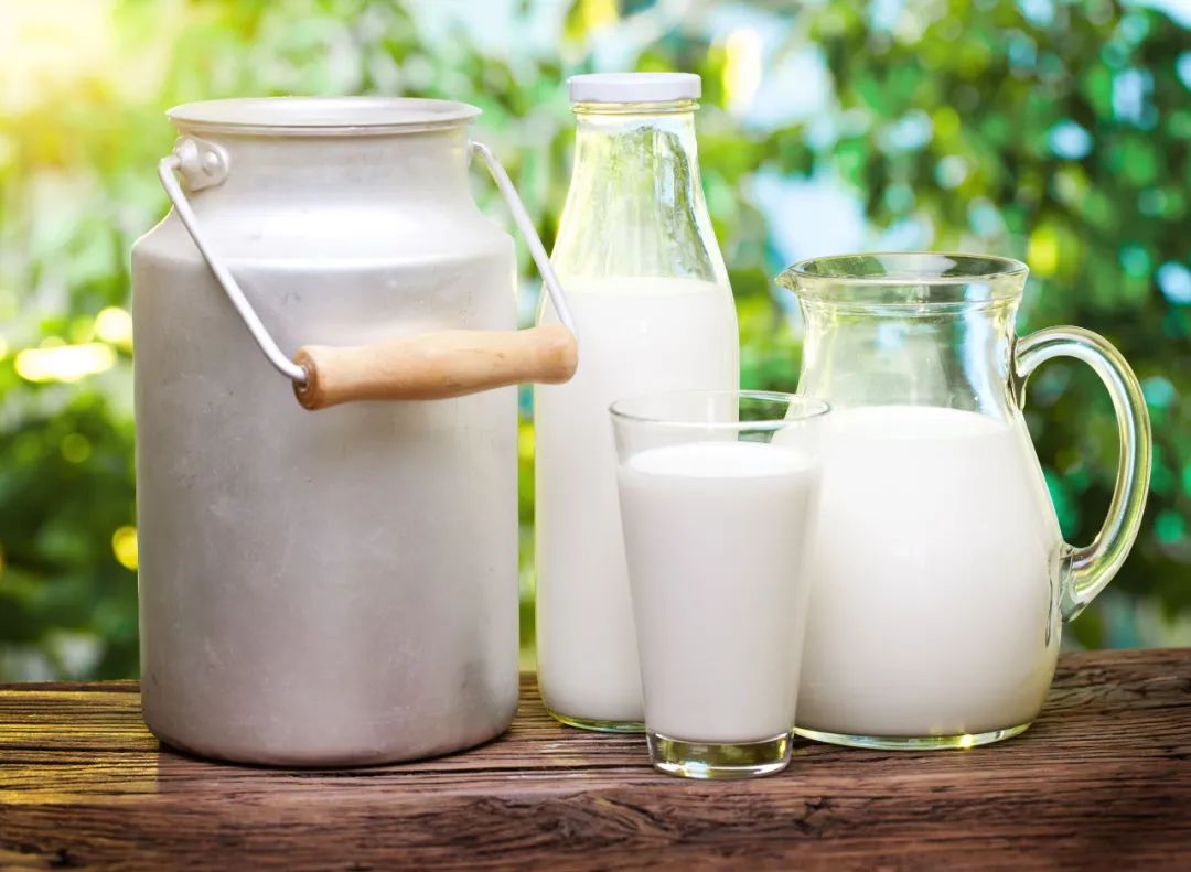 生鲜乳产量继续增加,乳制品消费将短期上涨!