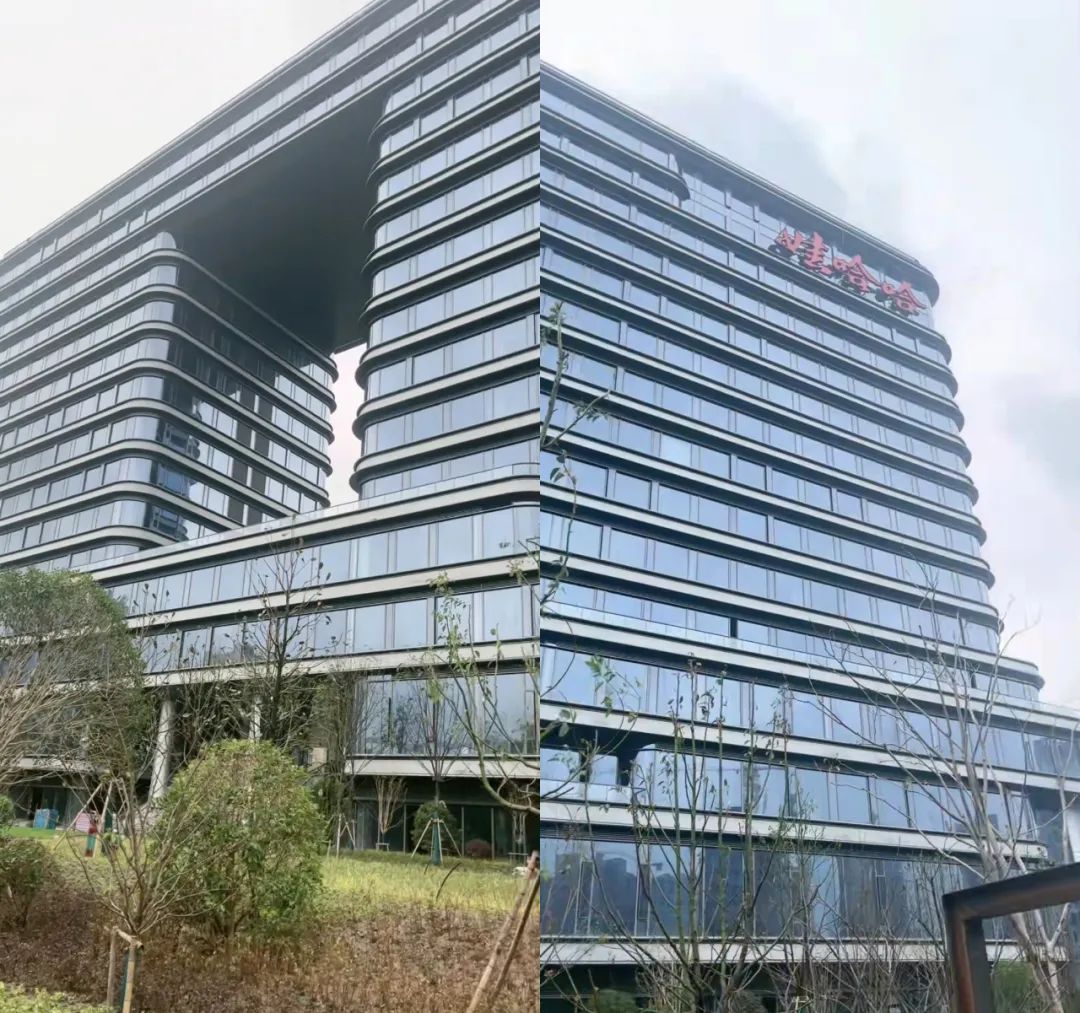 娃哈哈的2023:业绩保持稳健,集团总部乔迁新址!