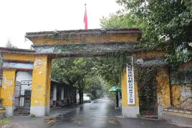 娃哈哈的2023:业绩保持稳健,集团总部乔迁新址!