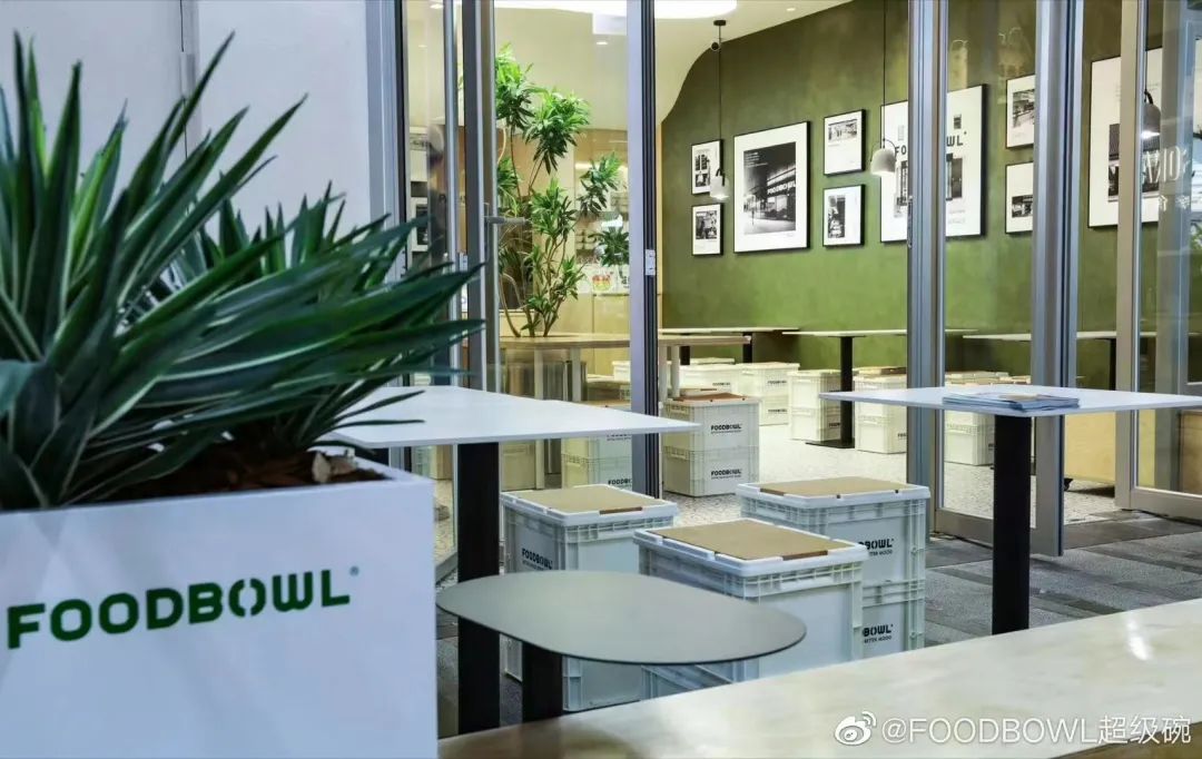 对话FOODBOWL创始人高松:轻食界还没有找到那个“辣椒炒肉”