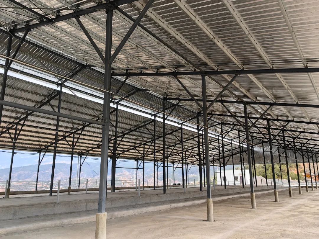 云南鹤庆这个奶公牛养殖基地即将竣工!