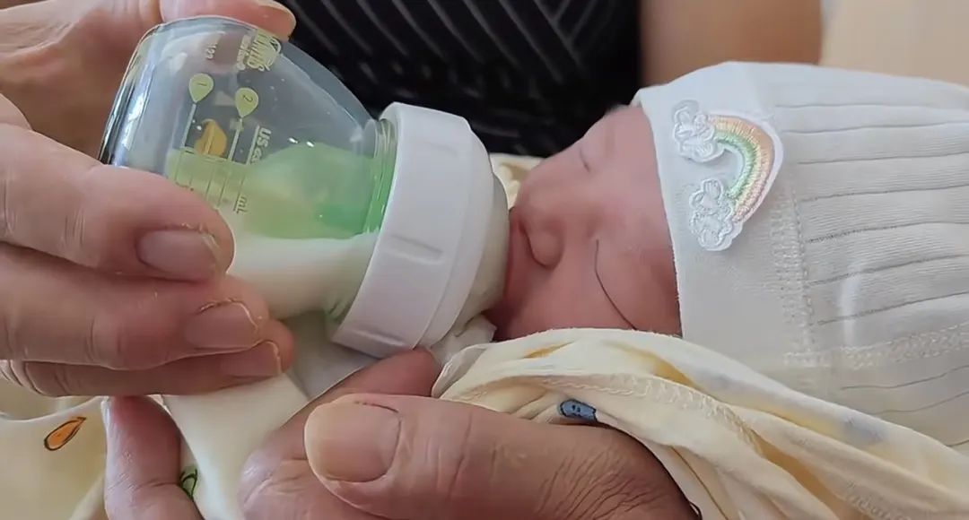 外资乳企在华业绩全面复苏，国产奶粉品牌业务承压