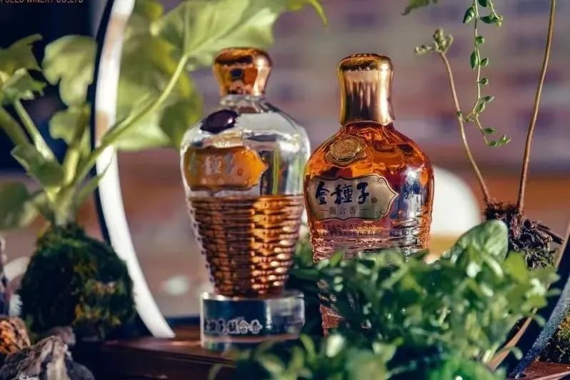 连年亏损的金种子酒,五年时间重回“第一阵营”靠谱吗?