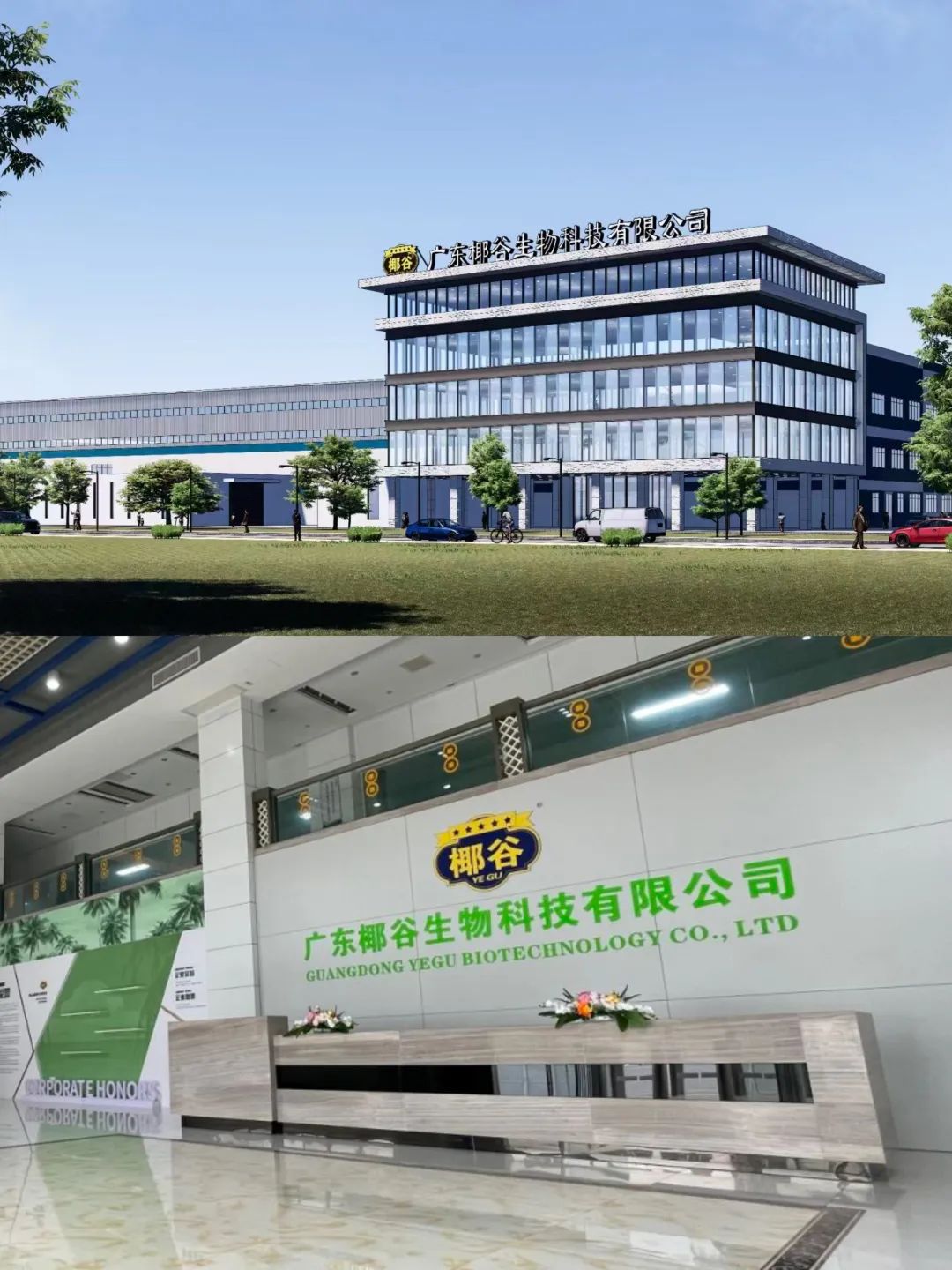解密椰基大佬，椰谷开启线下“撒钱”模式