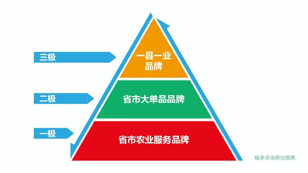娄向鹏:中国特色农业品牌建设的道路与方法