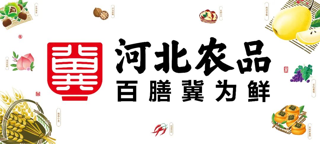 娄向鹏:中国特色农业品牌建设的道路与方法