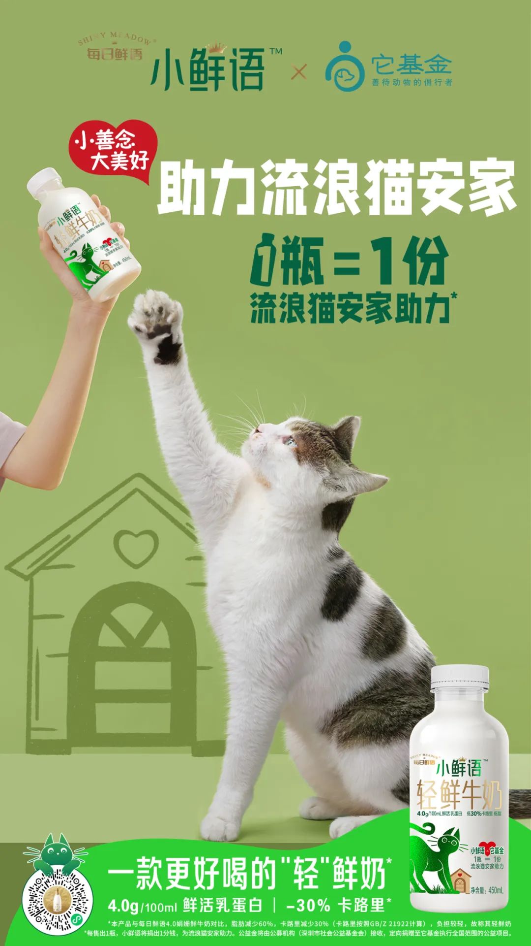 激发年轻人心中的小善念！小鲜语携手它基金，正式启动“助力流浪猫安家计划”！