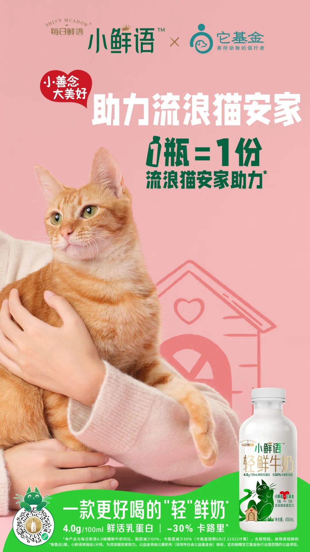 激发年轻人心中的小善念！小鲜语携手它基金，正式启动“助力流浪猫安家计划”！