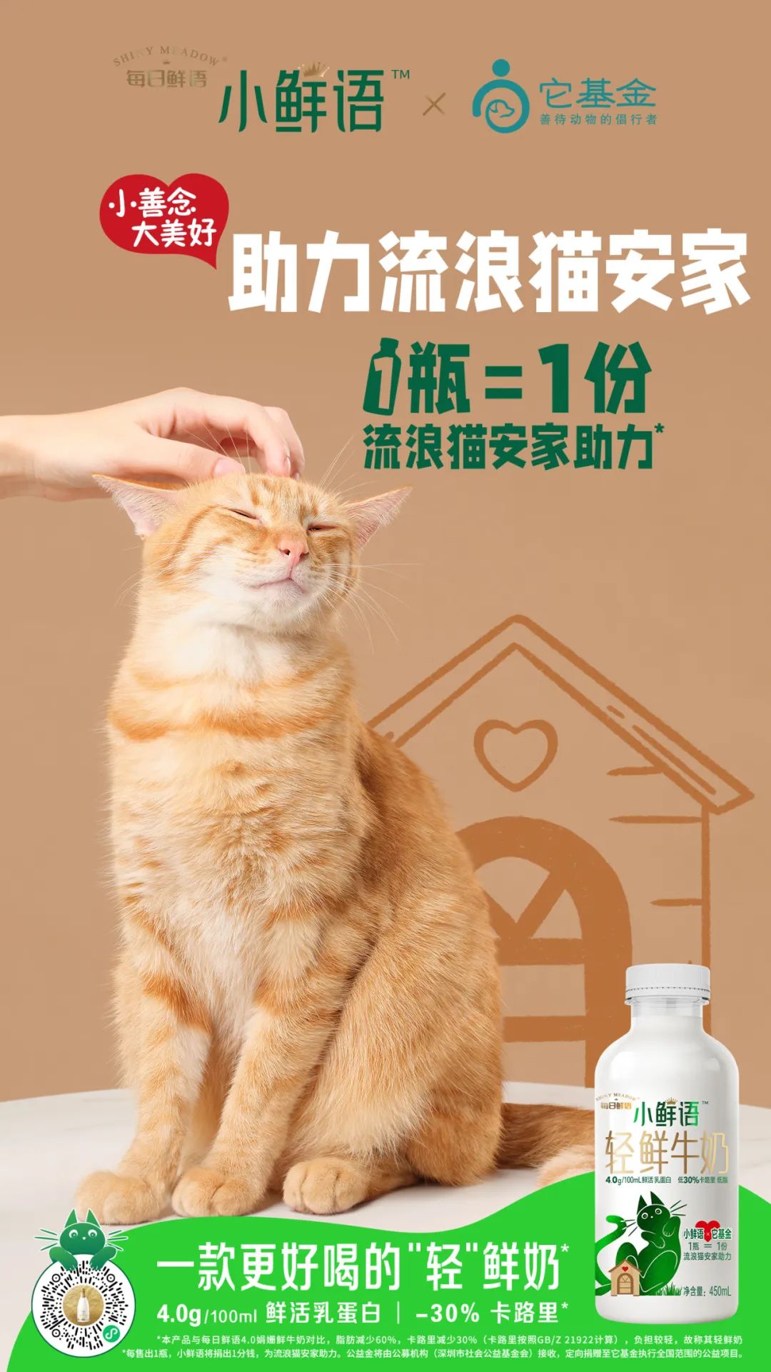 激发年轻人心中的小善念！小鲜语携手它基金，正式启动“助力流浪猫安家计划”！