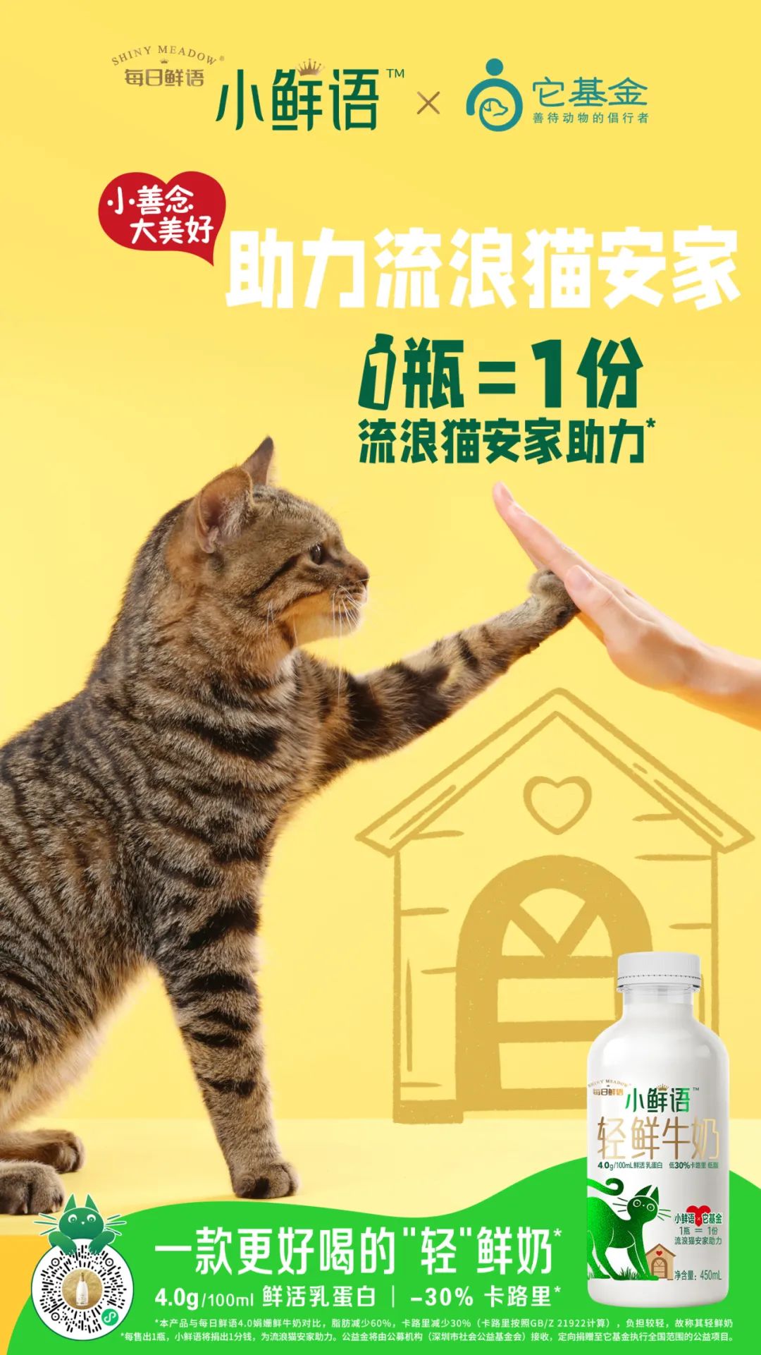激发年轻人心中的小善念！小鲜语携手它基金，正式启动“助力流浪猫安家计划”！