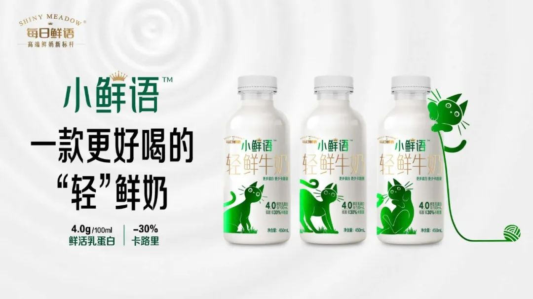 激发年轻人心中的小善念！小鲜语携手它基金，正式启动“助力流浪猫安家计划”！