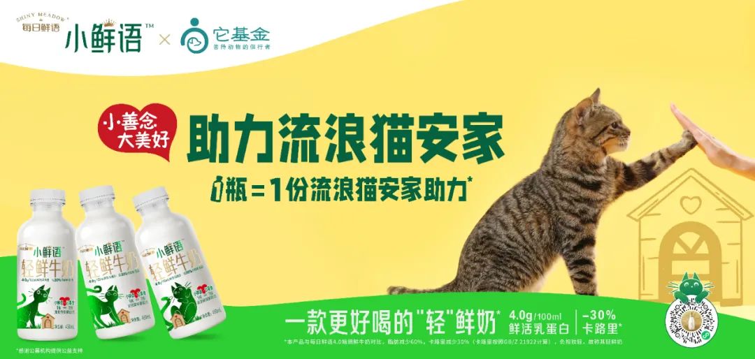 激发年轻人心中的小善念！小鲜语携手它基金，正式启动“助力流浪猫安家计划”！