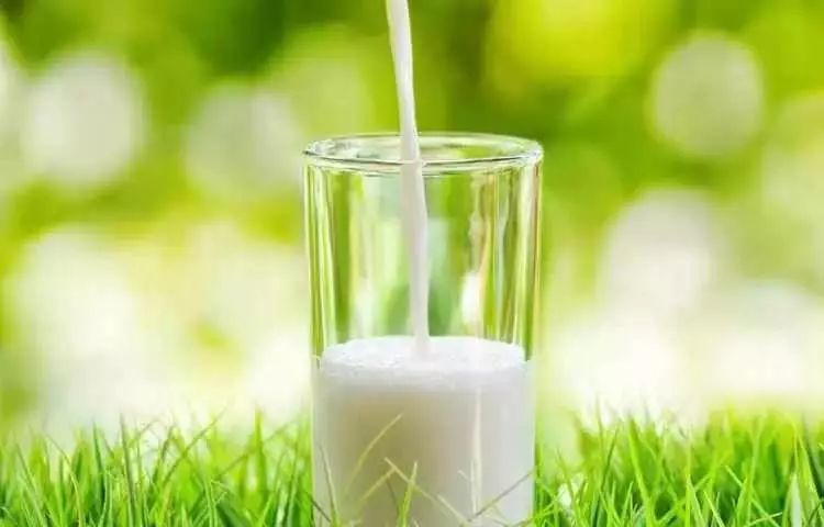 2023年各类乳制品消费销售情况分析